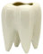 Easyinsmile Zähne geformte Molar Vase weiße Keramik Sukkulenten Pflanztöpfe Blume Pflanzgefäße Kreative Desktop Stifthalter