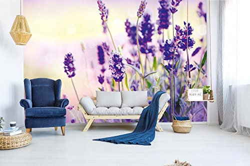 Vlies Fototapete LAVENDELFELD 375 x 250 cm (inkl. Kleister) - Vlies Tapete, Wandtapete, Wandbilder - Tapete für Wohnzimmer Schlafzimmer, Büro, Küche - Montagefertig