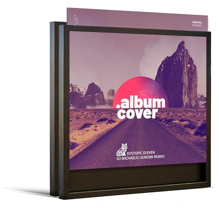 JUNOMI® 2 x Schallplatten Rahmen Schwarz | für Single LP Cover 30,4 – 31,3 cm | Vinyl Rahmen | Deko, Bilderrahmen, Wandrahmen