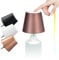 M A N T A LED Akku Flaschenleuchte TOUCH 15 cm - Kabellos - Dimmbar - Farbtemperatur einstellbar - für Garten Esstisch Schlafzimmer Balkon Hotel (Bronze)