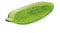Excelsa Tropical Plateau de service en verre