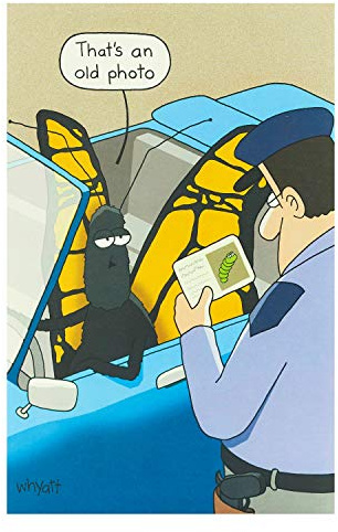 UK Greetings Birthday Card for Him/Her/Friend - Funny Butterfly Design
