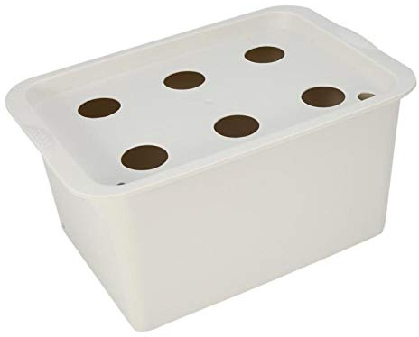 Tiiyee Kit di Coltivazione idroponica, Kit di Coltivazione del Sistema idroponico a 6 Fori Cassetta degli Attrezzi del coltivatore di calibrazione Intelligente Fai da Te(Grigio)