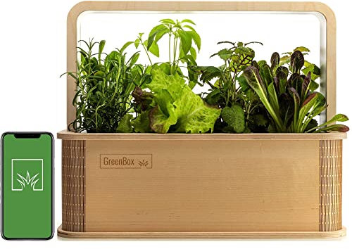 GREENBOX – Smarter Indoor Garden