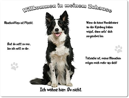 Merchandise for Fans Blechschild/Warnschild/Fun Türschild 30x40cm - Willkommen in unserem Zuhause - Motiv: Border Collie sitzend vor weißem Hintergrund - 02