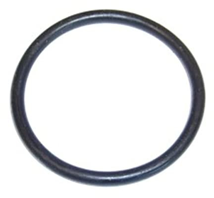 ELRING Dichtung, Thermostat 728.700