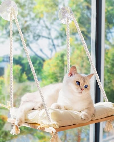 Perchoir de fenêtre pour chat – Hamac pour fenêtre – Siège en bois massif et ventouses solides – Lit et meubles pour chats à l'intérieur – Étagère de fenêtre suspendue pour chats d'intérieur de petite