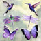 Konohan 12 Pcs Screen Door Magnets Butterfly Hummingbird Dragonfly Double Sided Decorative Screen Magnets Stickers Flexible Magnetic Decals for Window Sliding Patio Door Protector(Elegant Style)