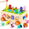 Seagoal Giochi Montessori 2 Anni | 6 in 1 Magnetici di Pesca in Legno Abilità Motorie Giocattoli Educativi | Compleanno Regalo per 2 3 4 Anni Bambini Ragazzi