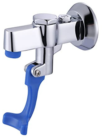 iVIGA Glasfüller-Wasserhahn-Wandhalterung, Glasfüllwasserstation mit 3/8 Zoll NPT weiblichem Einlass und Flansch, Messingkörper, verstellbares Wasserventil, poliert, Bar, Esszimmer