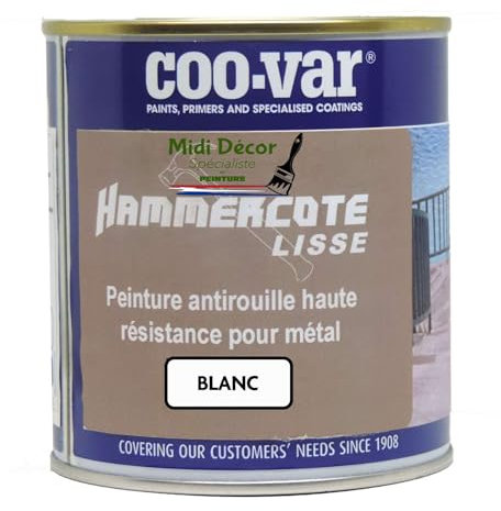 Midi Decor Peinture métal lisse antirouille - extérieure et intérieure - Blanc 1L