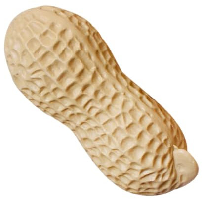 Warmhm 30cm Riesen Künstliche Erdnuss Foto Prop Decor Lebensechte Simulierte Spielzeug für Tisch Herzstück Ornament