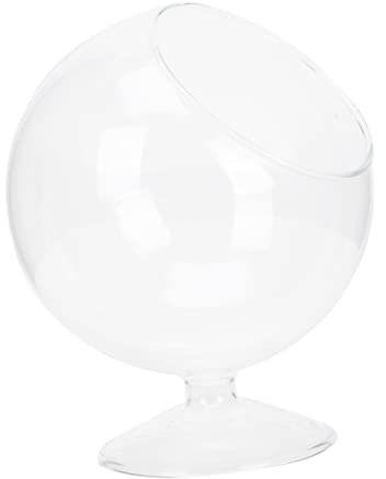 TOYANDONA Jarrón De Micropaisaje Transparente De Vidrio Muesca Sesgada para Maceta De Vidrio De Suculentas Contenedor para Plantas De Cocina