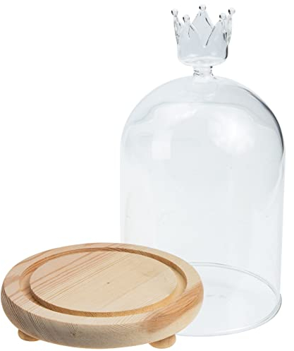NOLITOY Deko Frühling Deko Mit Klarer Glaskuppel Rustikalem Holzsockel Glasglocke Präsentationskuppel Für Sukkulenten Fotos Medaillen Bodenvase Groß Deko Schlafzimmer Schlafzimmer Deko