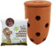 WORMacotta | Lombricomposteur 1,1L en Terre Cuite à enterrer | 500gr de vers de Compost | Transformez Votre jardinière en lombricomposteur | Compostez Vos déchets organiques