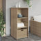 Xichuzi Gartenschrank Beige 50x55x115 cm Poly Rattan, Geräteschuppen, Gerätehaus, Wetterfest, Outdoor Schrank, Gartenhausschränke, Terrassenschrank - 365550