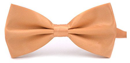 Boolavard klassische Hochzeit Bowtie Krawatte Fliege Neuheit Tuxedo Fashion einstellbar (Champagner)