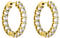 PURELEI® Shimmer Ohrringe (Gold) – Damenohrringe aus langlebigem Edelstahl – Wasserfeste Ohrringe Damen – 2,7 cm Durchmesser – Modeschmuck für deinen individuellen Look