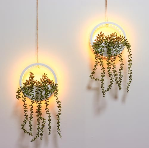 HanYun 2 Stück Künstliche Sukkulenten Hängepflanzen mit LED Lichterkette, Kunstpflanze Hängend Gefälschte Perlenkette im Topf für Wanddekoration im Innen- und Außenbereich (Weiß)