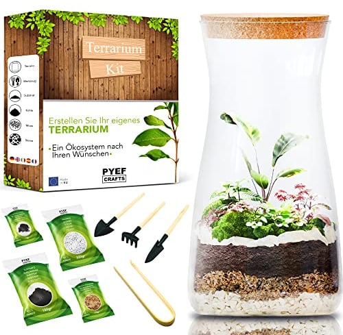 Kit Terrario Plantas DIY - Set con Frasco de Cristal Ecosistema Cerrado Plantas para Jardin en Botella - Terrarium de Cristal para Bosque Eterno de Interior - Kit Creación de Terrario Sin Planta