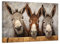 CCWACPP Kunstdruck auf Leinwand, Motiv: Bauernhof, lustiges Tierbild, Esel, Gemälde, Landhaus, Badezimmer, Küche, Wanddekoration, gerahmt