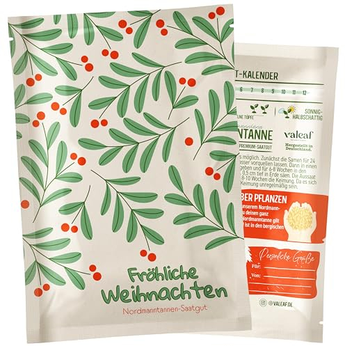 valeaf Dein Weihnachtsbaum zum Pflanzen I Nordmanntanne Samen I dein Baum 2030 I tolles Geschenk, Wichtelgeschenk u Adventskalender Füllung I Christbaum Tannenbaum Samen mit valeaf Samen