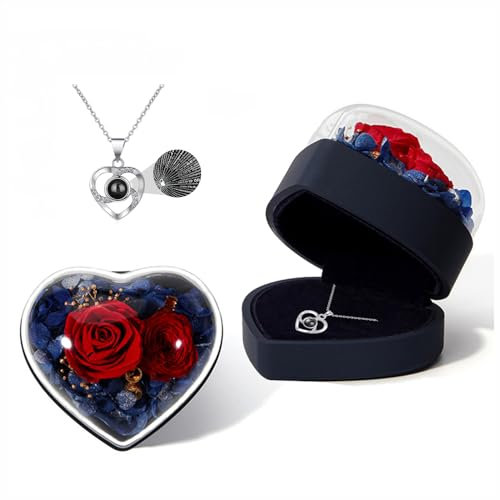 BAITAI Ewige echte Rose mit I Love You Halskette,Konservierte Rose Blumen Schmuck Geschenkbox, zum Valentinstag Muttertag Hochzeit Jahrestag Geburtstag Geschenk für sie Frauen Freundin Frau