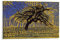 YOOSONG Piet Mondrian Blauer Apfelbaum-Serie, Poster, Gemälde auf Leinwand, Wandkunst, Poster, Rollbild, Druck, Wanddekoration, Heimposter, 50 x 75 cm