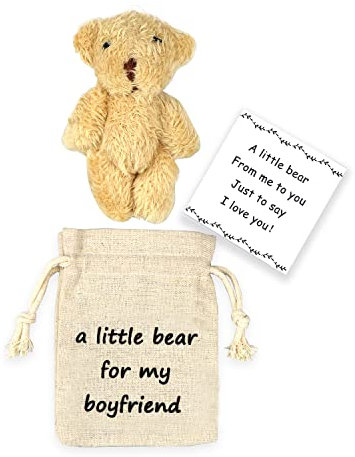 LUOKIFUR Poupée en Peluche Ours de Poche Petit jeton d'amour de câlin de Poche Envoyer des Cadeaux de Petit ami d'anniversaire de câlin d'ours aux Personnes dans Le Besoin(Pocket Bear Boyfriend)