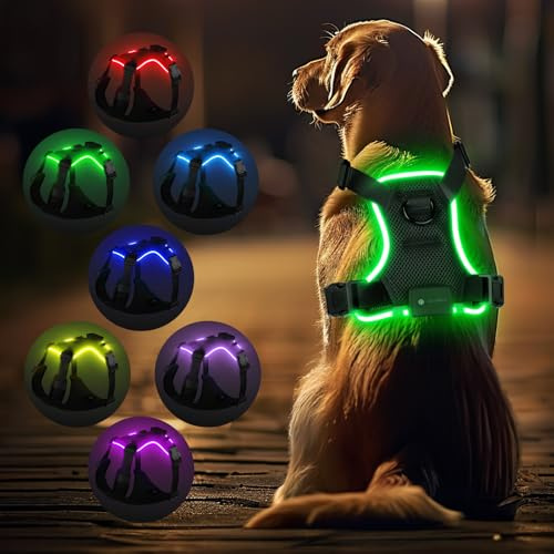 MASBRILL Hundegeschirr Leuchtend, LED Hundegeschirr Aufladbar & Einstellbar für Welpen Kleiner Mittlerer Große Hund, 7-Farben ändern 8-Beleuchtungsmodi Atmungsaktiv Leucht Geschirr (Schwarz S)
