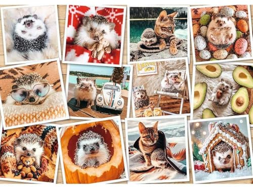 Nathan Puzzle 1500 Teile – Die Abenteuer des Igels – Erwachsene und Kinder ab 14 Jahren – Hochwertiges Puzzle – perfekte Integration – Kollektion Tendresse – 12001619