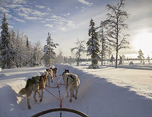 hansepuzzle 69479 - Finnland Puzzle 1000 Teile - Natur-Puzzle mit hochwertiger Aufbewahrung: Kartonbox und wiederverschließbarem Beutel - Format 60 × 46 cm