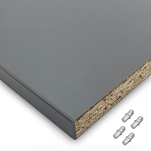 X57 Einlegeboden Regalboden Holzboden 19mm nach Wunschmaß max. 1000mm breit x 600mm tief Zuschnitt Anfertigung 2mm Umleimer ABS Kante (Anthrazit)