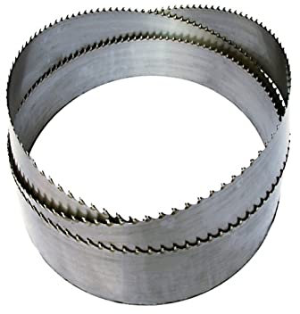 PNAJFUEL Lames de Scie À Ruban, 1 Lame de Scie À Ruban Tct Pointe En Carbure Pour Couper Du Bois Dur Pour Couper Des Briques Et de La Mousse, Utilisatdans Lahine/4470Mm X 35Mm