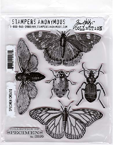Tim Holtz Stampers CMS410 Anonymous Specimen Haftstempel