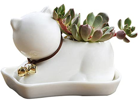 Tuzsocr Cartoon Succulent Plant Pots, Animal Plant Pot Ceramic Flower Planter Pot,Cute Cat/deer/rabbit/dog Cactus Succulent Flowerpot,with Tray Desktop Plant Pot for Home, Office and Garden (Cats)