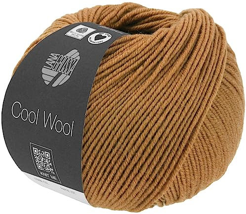 LANA GROSSA Cool Wool Melange | Extrafeine Merinowolle waschmaschinenfest und filzfrei | Handstrickgarn aus 100% Schurwolle (Merino extrafein) | 50g Wolle zum Stricken & Häkeln | 160m Garn FB 1423