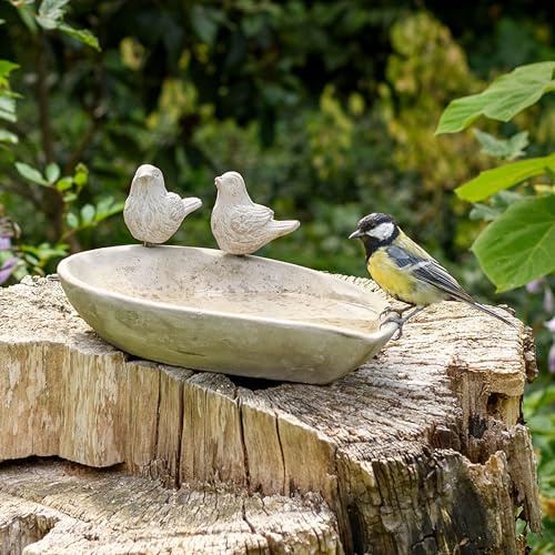CJ Wildlife Vogeltränke Stein – Winterfest – Vogelbad und Trinkschale Vögel – Beton Graphit-Grau