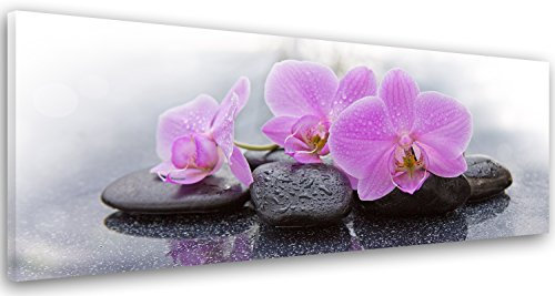 Feeby Impression sur toile Zen 120x40 cm 1 pièce Tableaux Tableau Mural Image Photo Moderne Décoration Murale Artistique Photographie Design Cuisine Salon Chambre à coucher Orchidée Fleur Rose