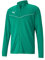 PUMA Herren Teamrise Training Poly Jacket