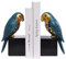 Kakizzy Book Ends Decorative, Parrot Bookends for Shelves, Animal Book Stopper Decorative, Retro Book Ends for Heavy Books, Bird Figurines Statues Indoor, Unique Book Lover Gift(Blue Parrot)