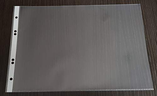 100x Premium A4 Prospekthülle Dokumentenhülle, QUERFORMAT, PP 110my in glasklar, mit Lochrand