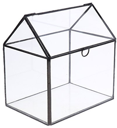 Maceta de mesa para terrario de plantas suculentas #4