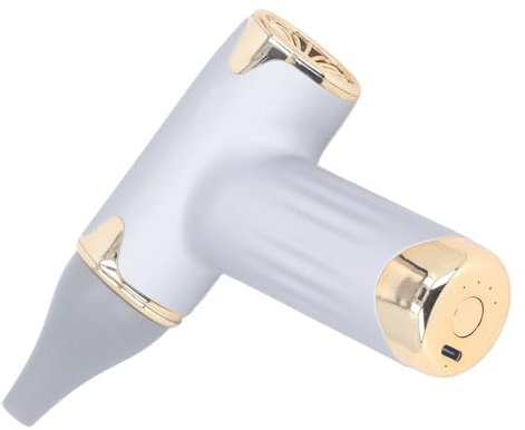 Asciugacapelli Elettrico da 60 W Ad Alta velocità 4 Livelli Vento Senza Lama 1100 MAh Batteria Ventilatore Portatile per Polvere (Color argento)