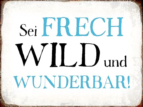 Ontrada Blechschild 30x40cm gewölbt sei frech wild wunderbar Retro Schild