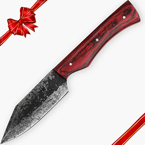 Hobby Hut HH-332 Handgemachtes Jagdmesser mit Scheide, 21 cm, 1095 Messer mit Fester Klinge aus Kohlenstoffstahl, Pakka-Holzgriff Für Jagdcamping