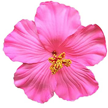 Barrette fleur de Hibiscus barrette fleurs Barrette Fleur Artificielle Pinces à Cheveux Mousse Accessoires De Cheveux pour Mariage Coiffure De Plage (Rose)