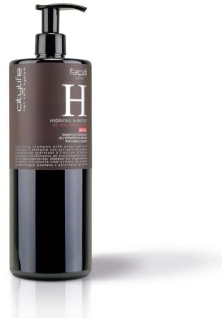 Faipa Citylife Hydrating Shampoo mit Argan-Extrakt, trockenes Haar, 1000 ml