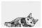 TRIXIE 24788 Napfunterlage Katze, 44 × 28 cm, weiß/schwarz