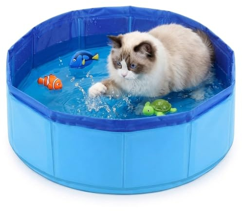 Katzenpool,30x10 cm Hundeplanschbecken und Hundepool Klein, Ideal für Katzen und kleine Hunde in Wohnungen, Faltbarer Pool zur Abkühlung und Unterhaltung (Blau)